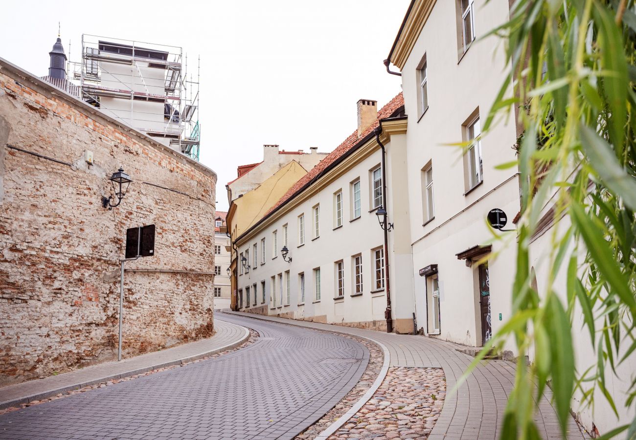 Appartement à Vilnius - Castle View Apartment