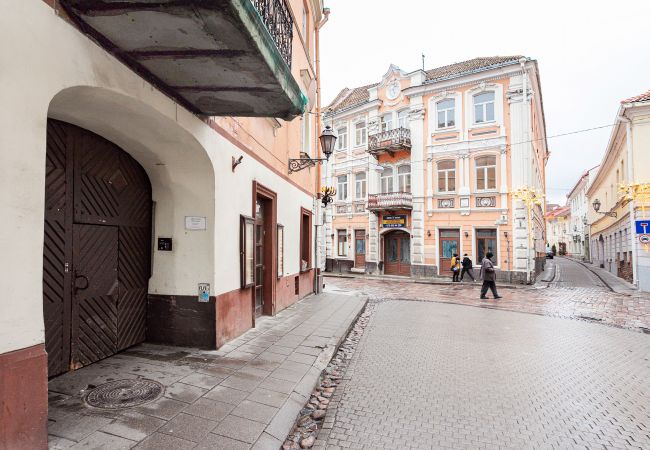 Appartement à Vilnius - Saint Ignoto's Bright 1 Bedroom Apartment