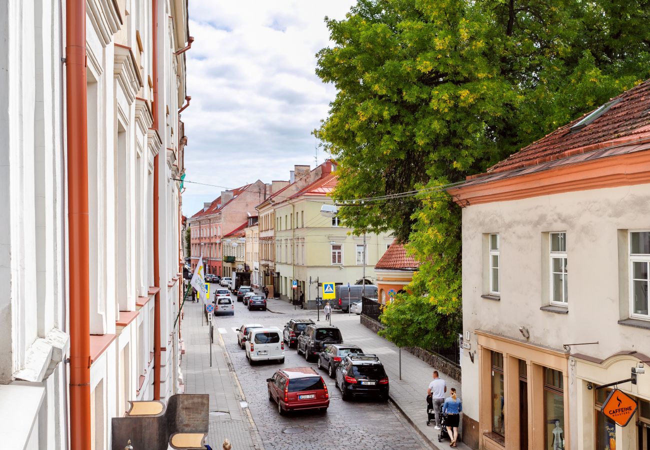 Appartement à Vilnius - Comfy 1 Bedroom Apartment