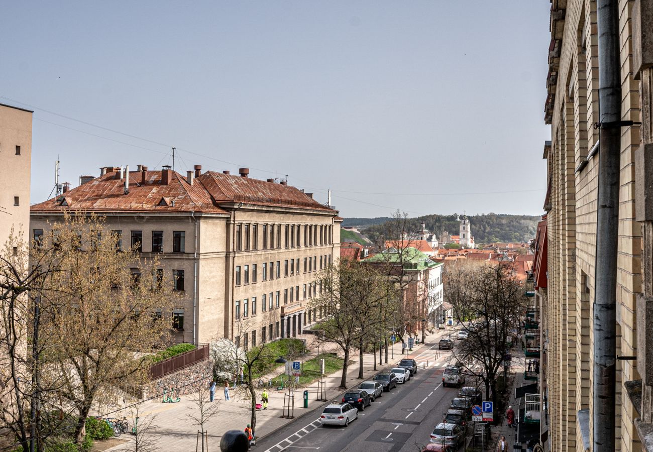 Appartement à Vilnius - Cosy Oasis In Vilnius Old Town 