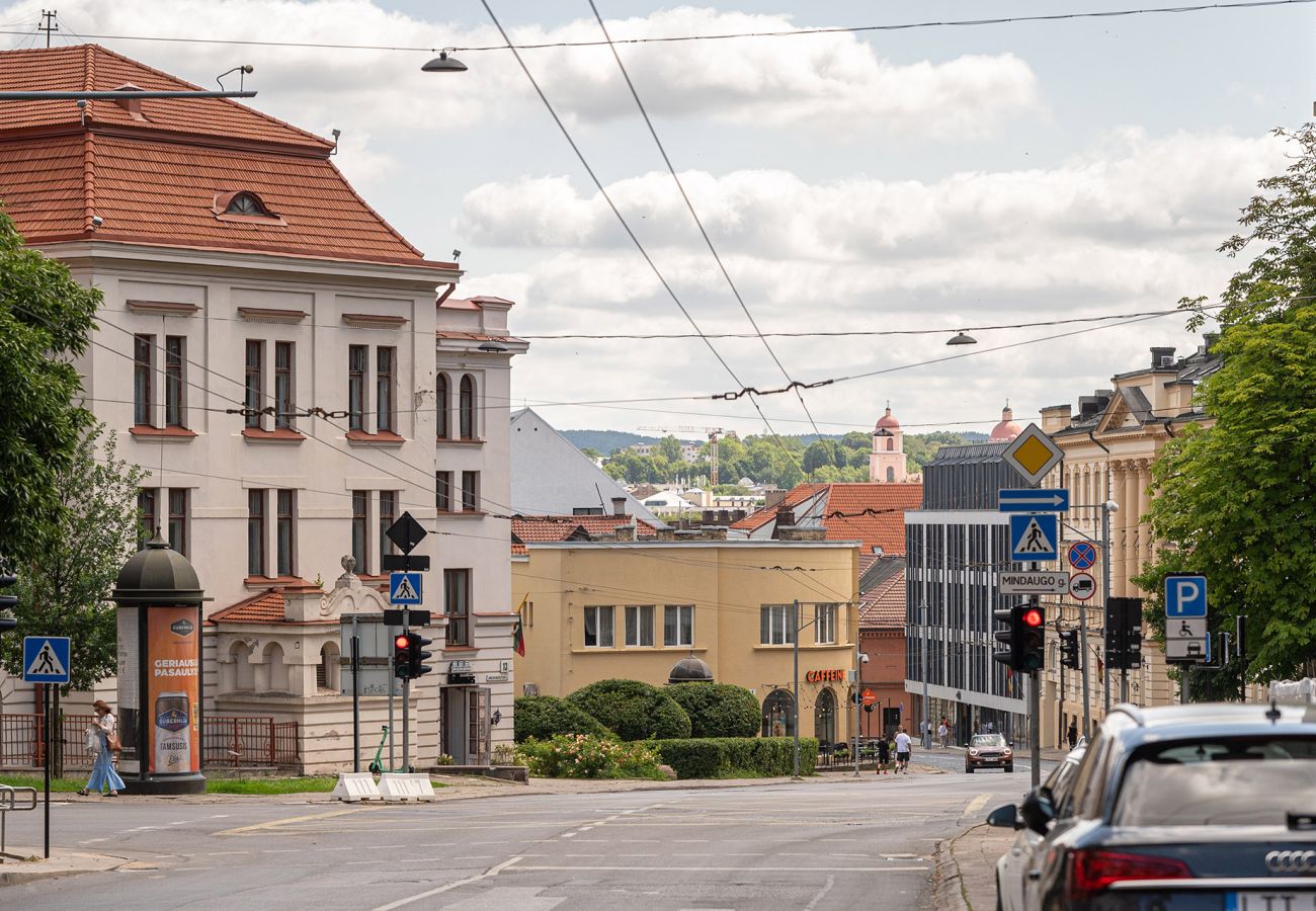 Appartement à Vilnius - Spacious Apartment in Vilnius Old Town