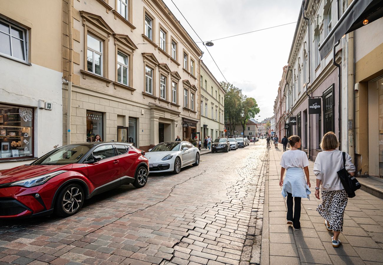 Appartement à Vilnius - Central and Comfy 2 Bedroom Apartment 