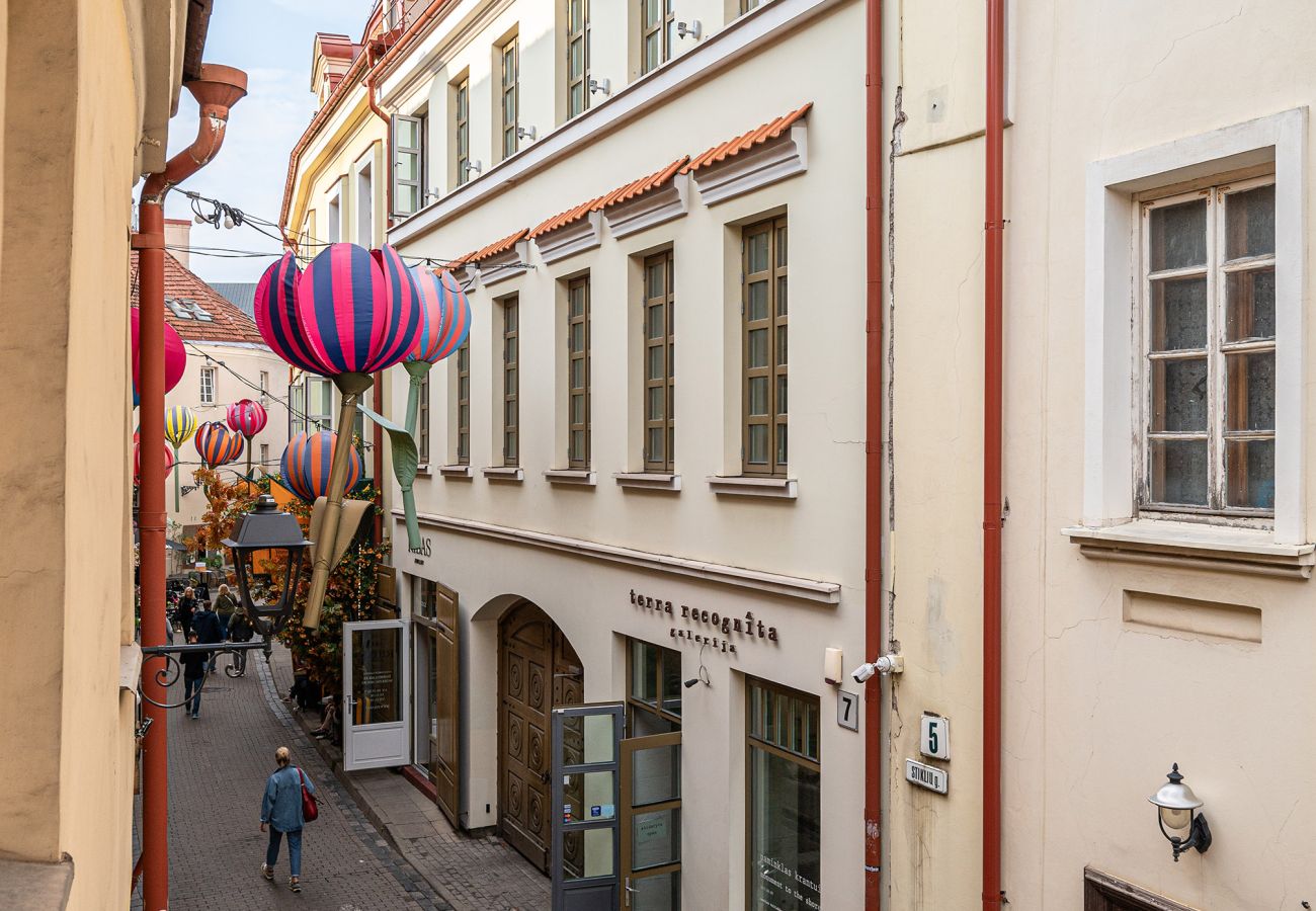 Appartement à Vilnius - Classic Apartments In The Prestigious Stikliu Str