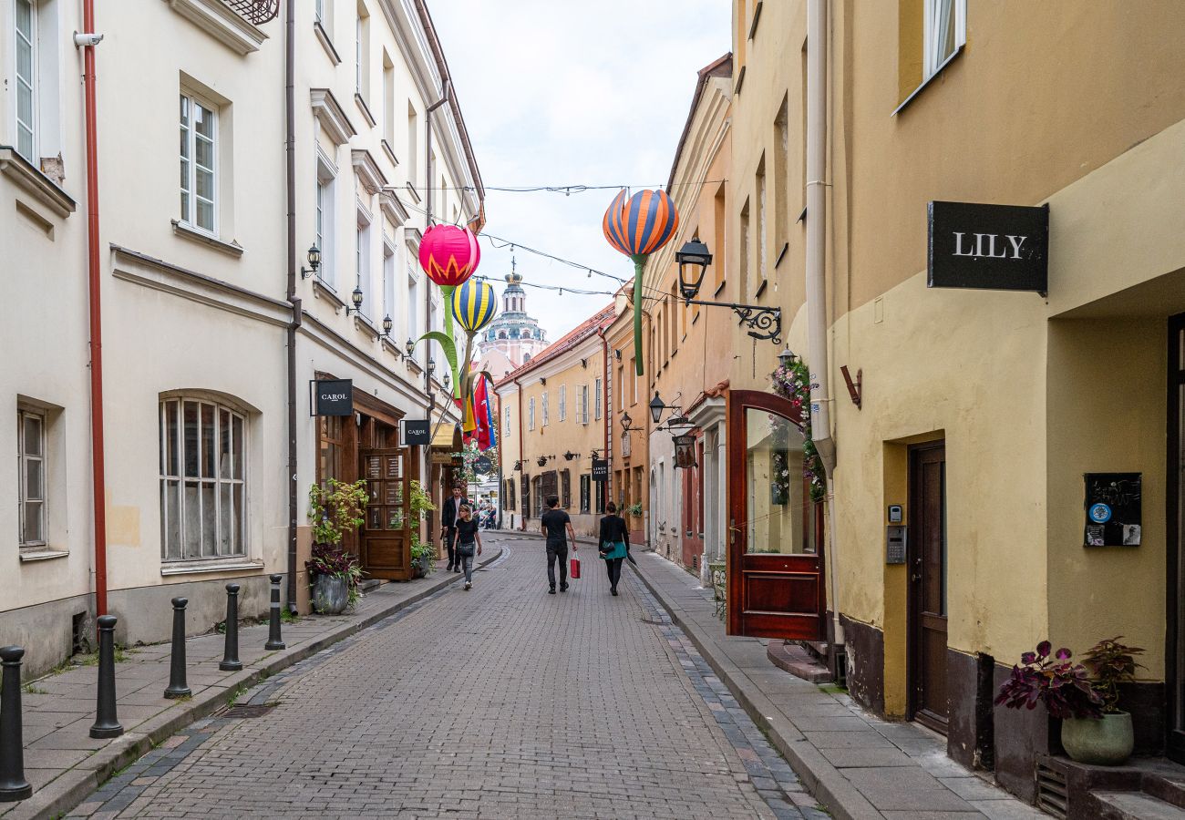 Appartement à Vilnius - Classic Apartments In The Prestigious Stikliu Str