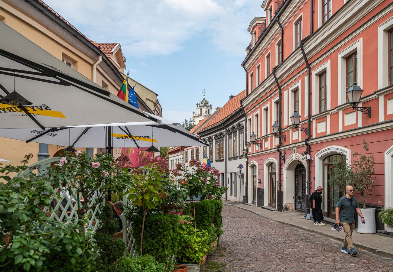 Appartement à Vilnius - Classic Apartments In The Prestigious Stikliu Str