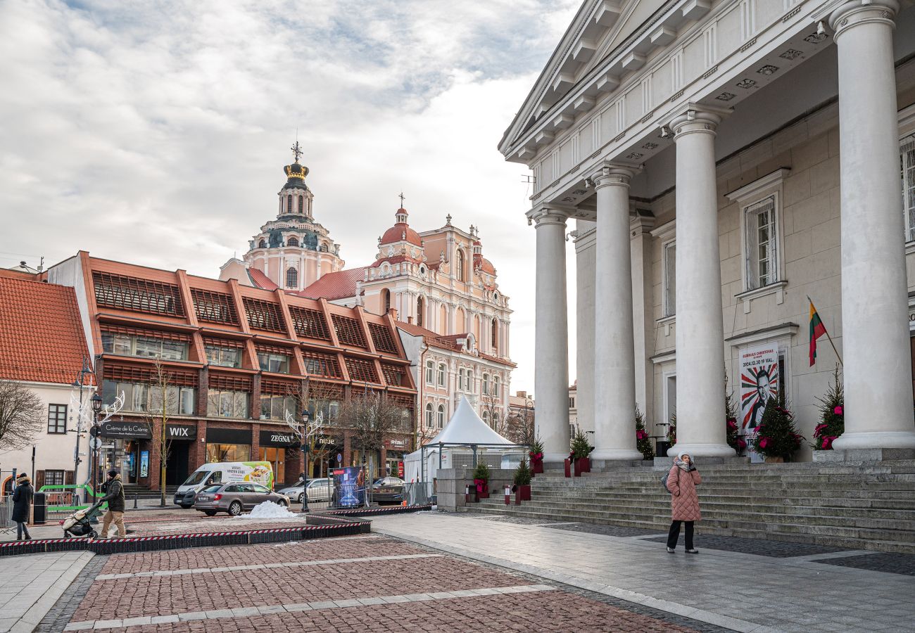 Appartement à Vilnius - Newly Furnished Vilnius Town Hall Apartment 103