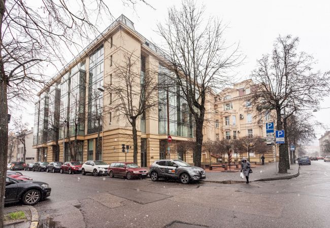 Apartment in Vilnius - Business Apartment in Jaksto Street
