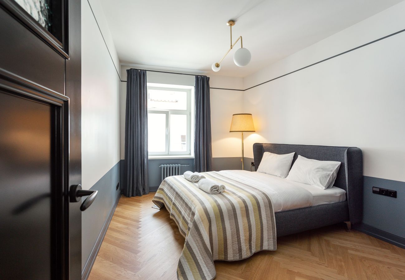 Apartment in Vilnius - Superb 2 Bedroom Apartment