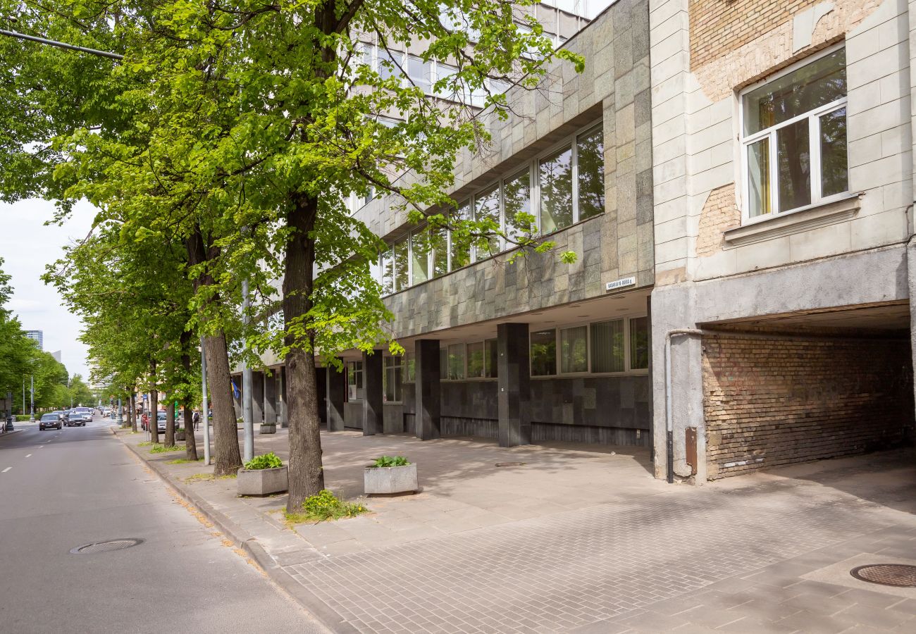 Apartment in Vilnius - Newly Refurbished Lukiskiu Square Apartment