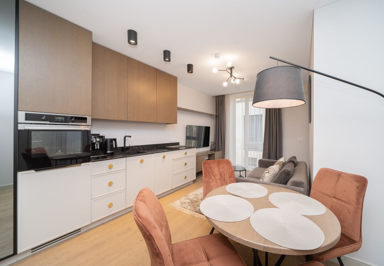 Apartment in Vilnius - 1 Bedroom Apartment next to Gediminas Avenue