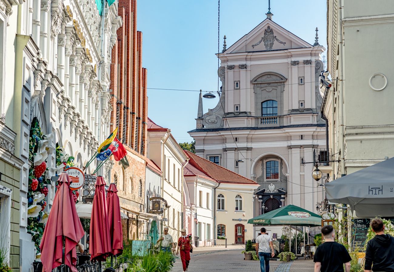 Apartment in Vilnius - Luxury Apartment with Balcony in Old Town