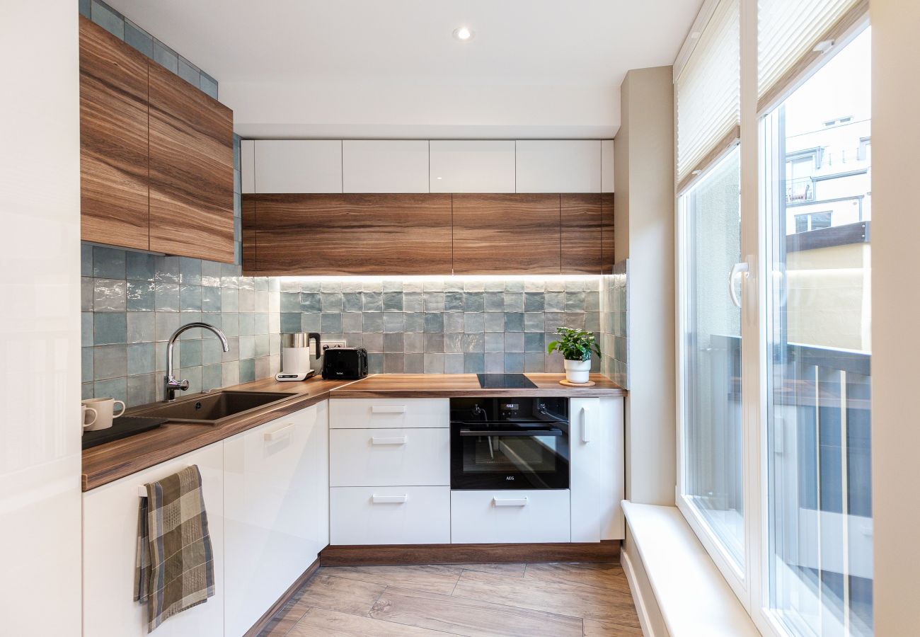 Leilighet i Vilnius - Vingriu Street Apartment