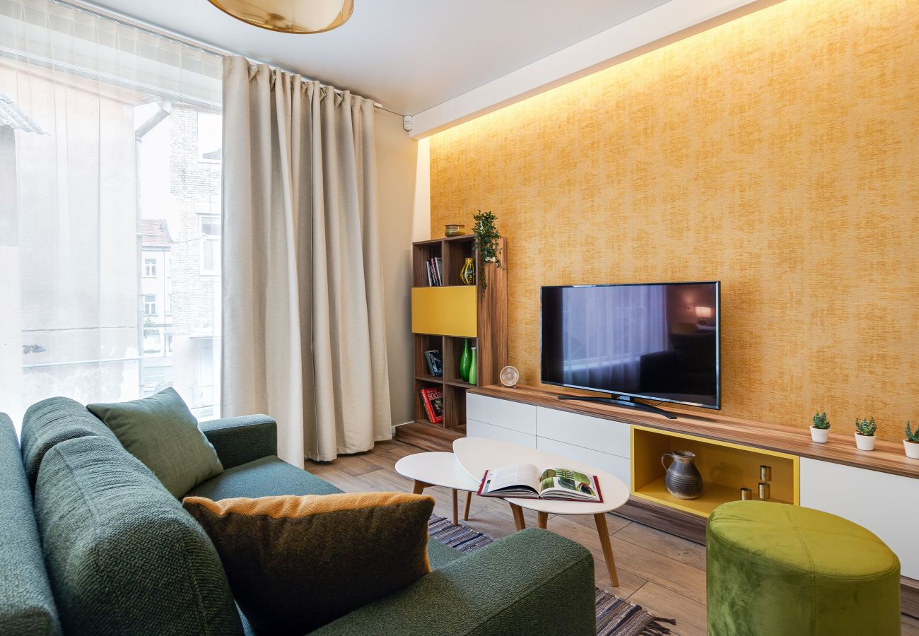 Leilighet i Vilnius - Vingriu Street Apartment