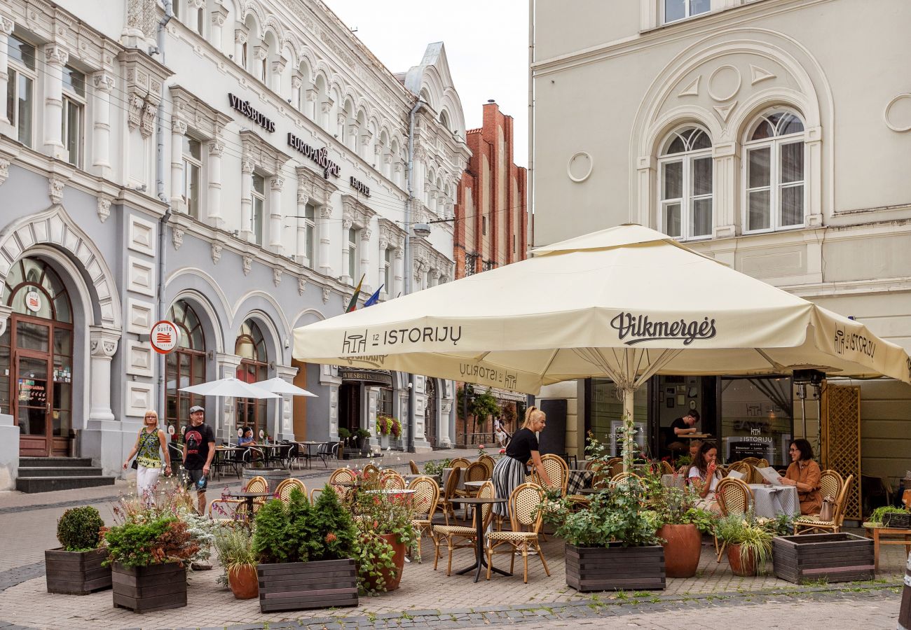 Leilighet i Vilnius - 3 Bedroom Duplex in Vilnius Old Town