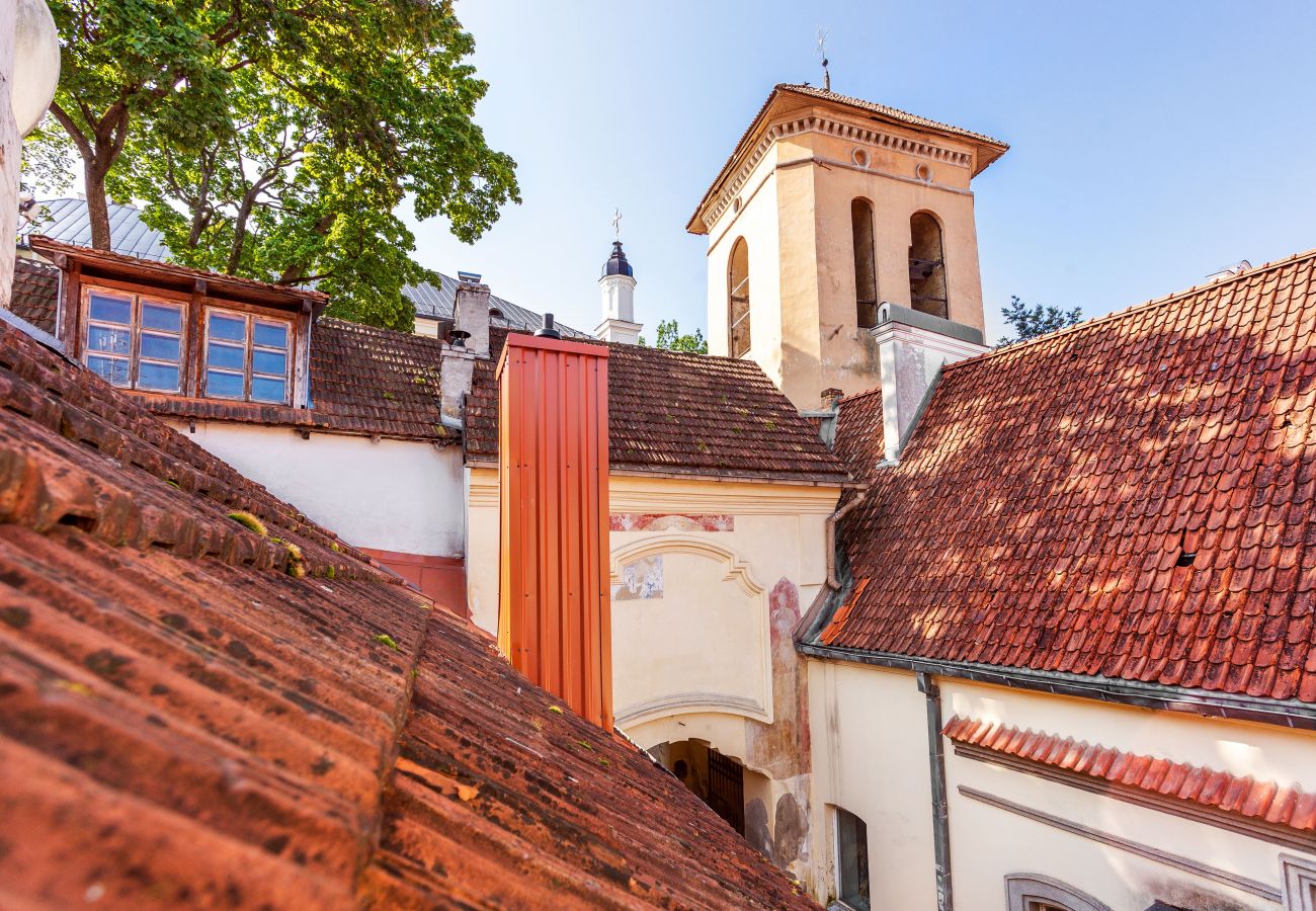 Leilighet i Vilnius - Classic Old Town 1 Bedroom Apartment