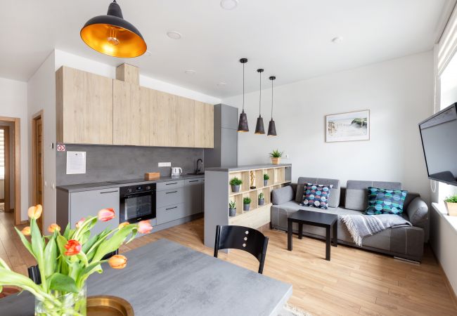 Leilighet i Vilnius - Cosy 1 Bedroom 2 Bathroom Yard Apartment