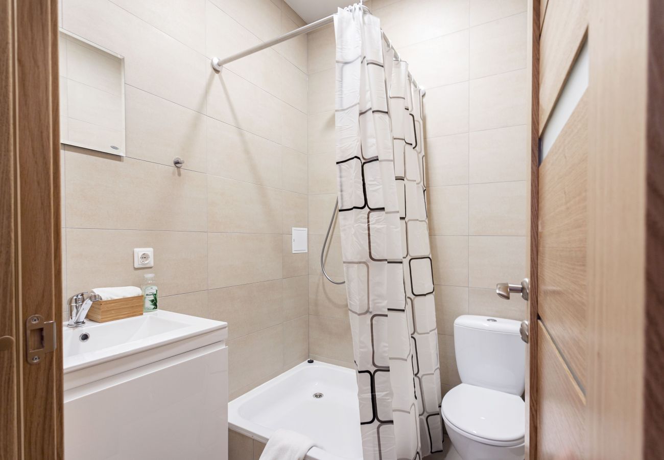 Leilighet i Vilnius - Cosy 1 Bedroom 2 Bathroom Yard Apartment