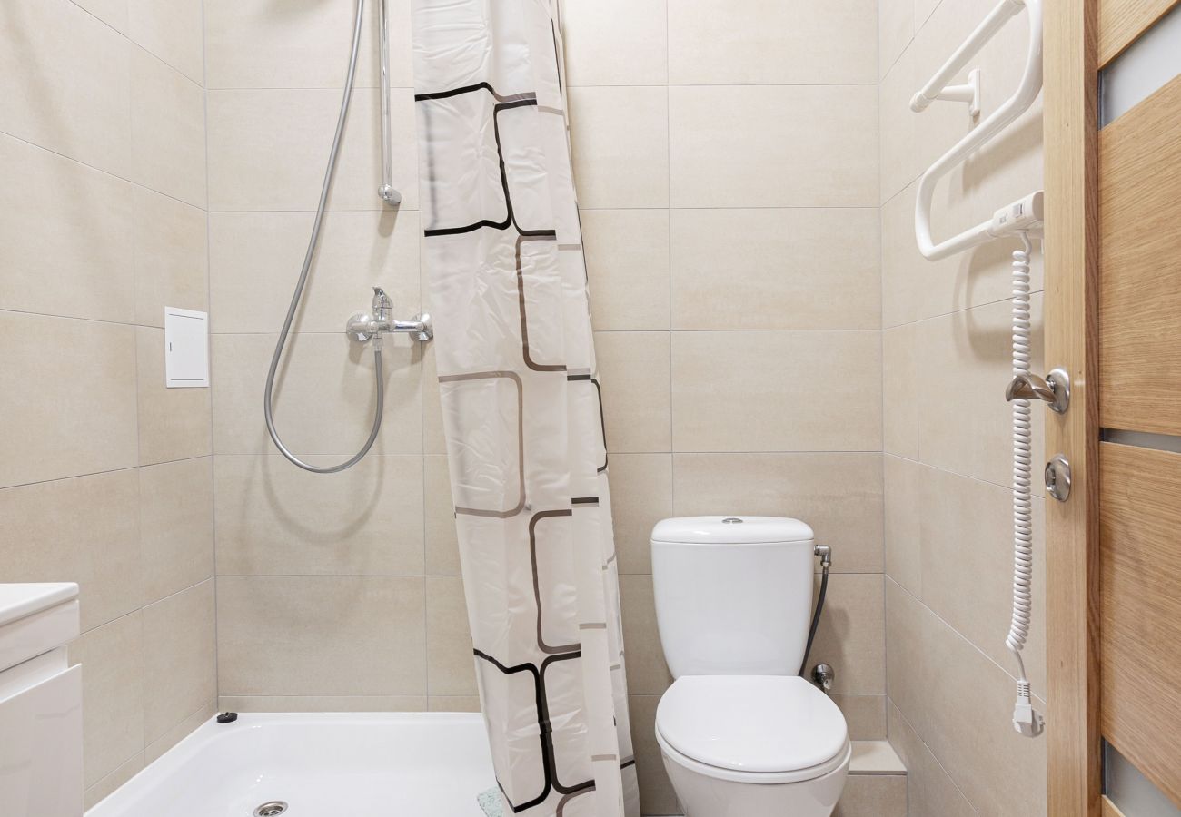 Leilighet i Vilnius - Cosy 1 Bedroom 2 Bathroom Yard Apartment
