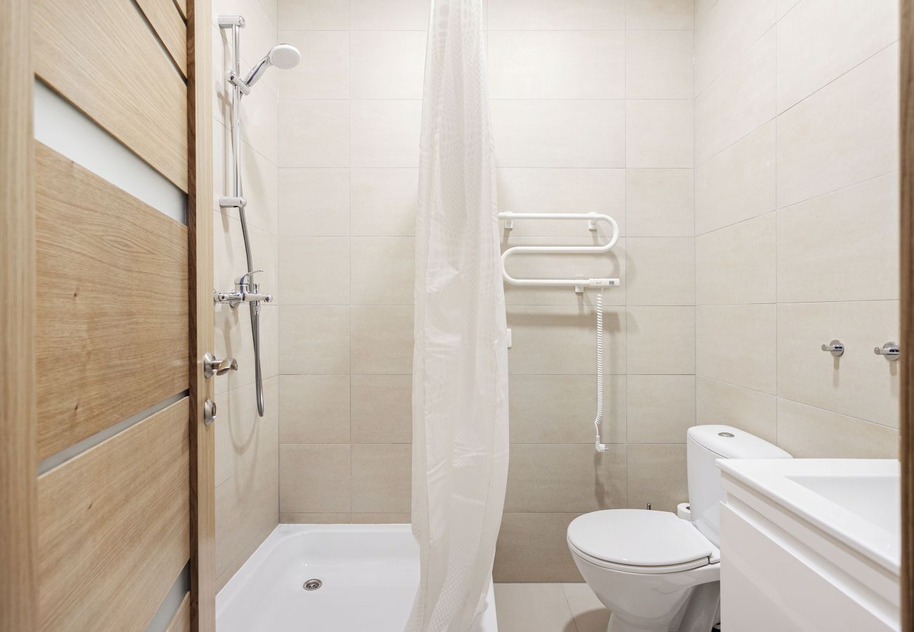 Leilighet i Vilnius - Cosy 1 Bedroom 2 Bathroom Yard Apartment
