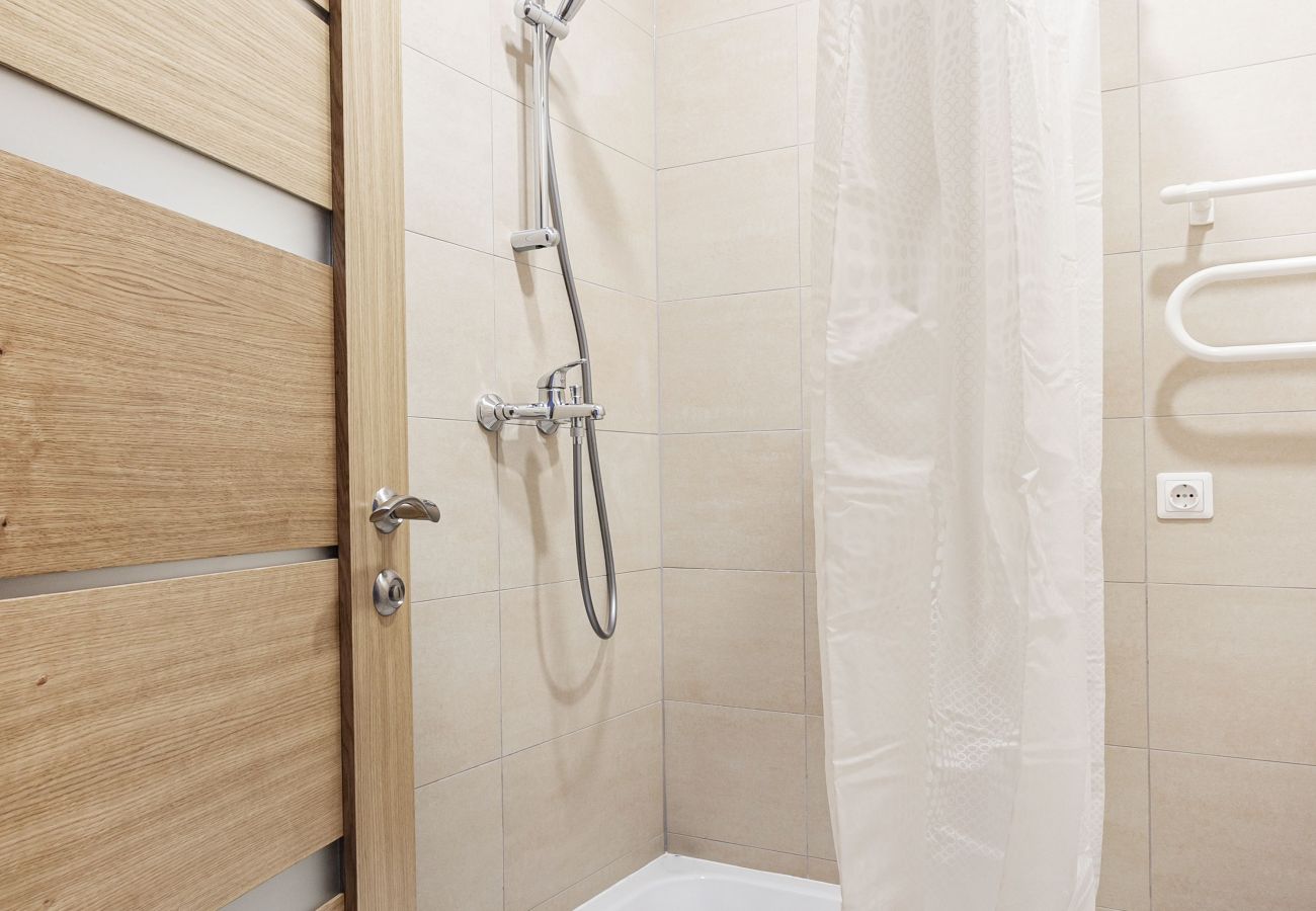 Leilighet i Vilnius - Cosy 1 Bedroom 2 Bathroom Yard Apartment