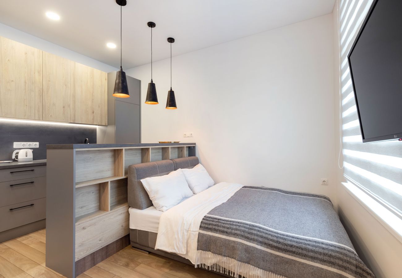 Leilighet i Vilnius - Cosy 1 Bedroom 2 Bathroom Yard Apartment