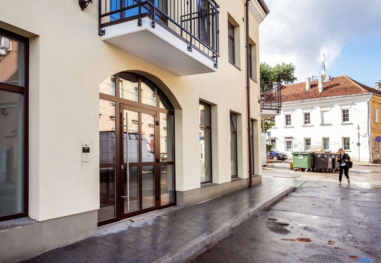 Leilighet i Vilnius - Cosy 1 Bedroom 2 Bathroom Yard Apartment