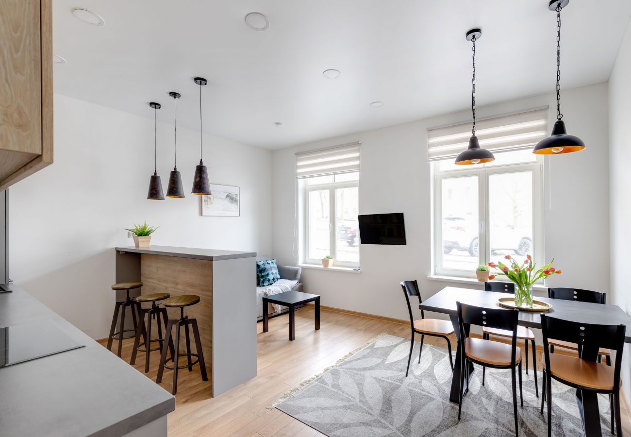 Leilighet i Vilnius - Cosy 1 Bedroom 2 Bathroom Yard Apartment
