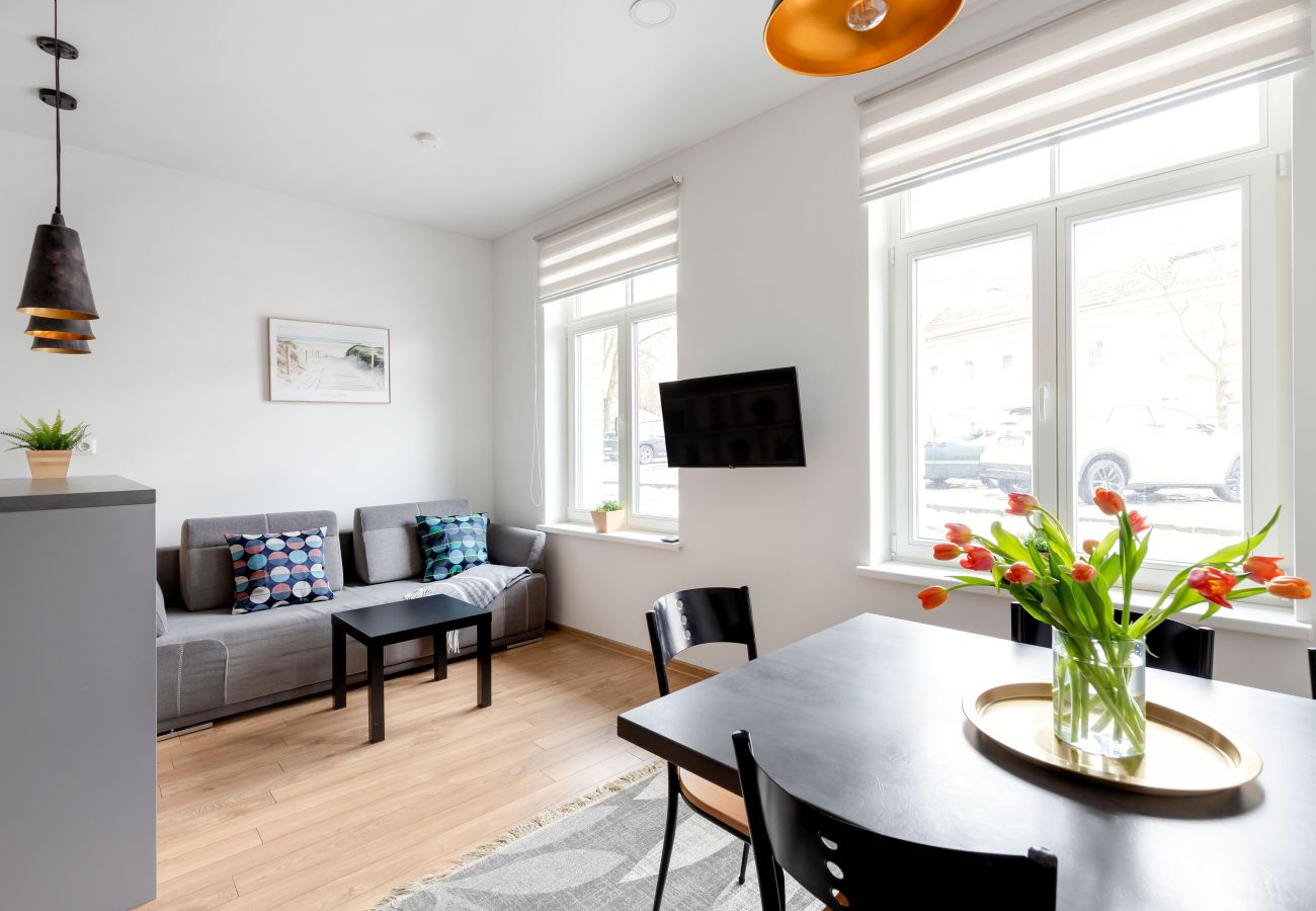 Leilighet i Vilnius - Cosy 1 Bedroom 2 Bathroom Yard Apartment