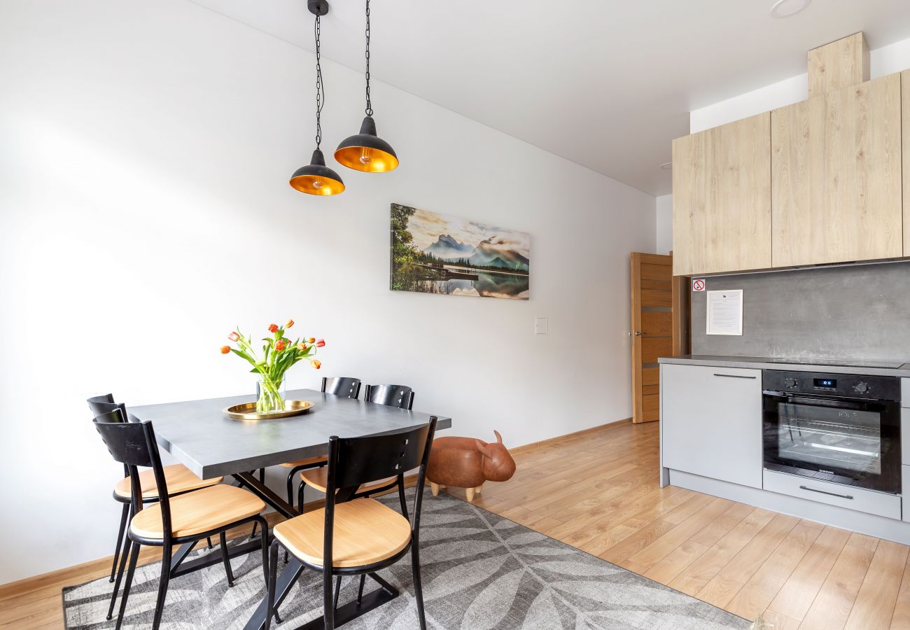 Leilighet i Vilnius - Cosy 1 Bedroom 2 Bathroom Yard Apartment