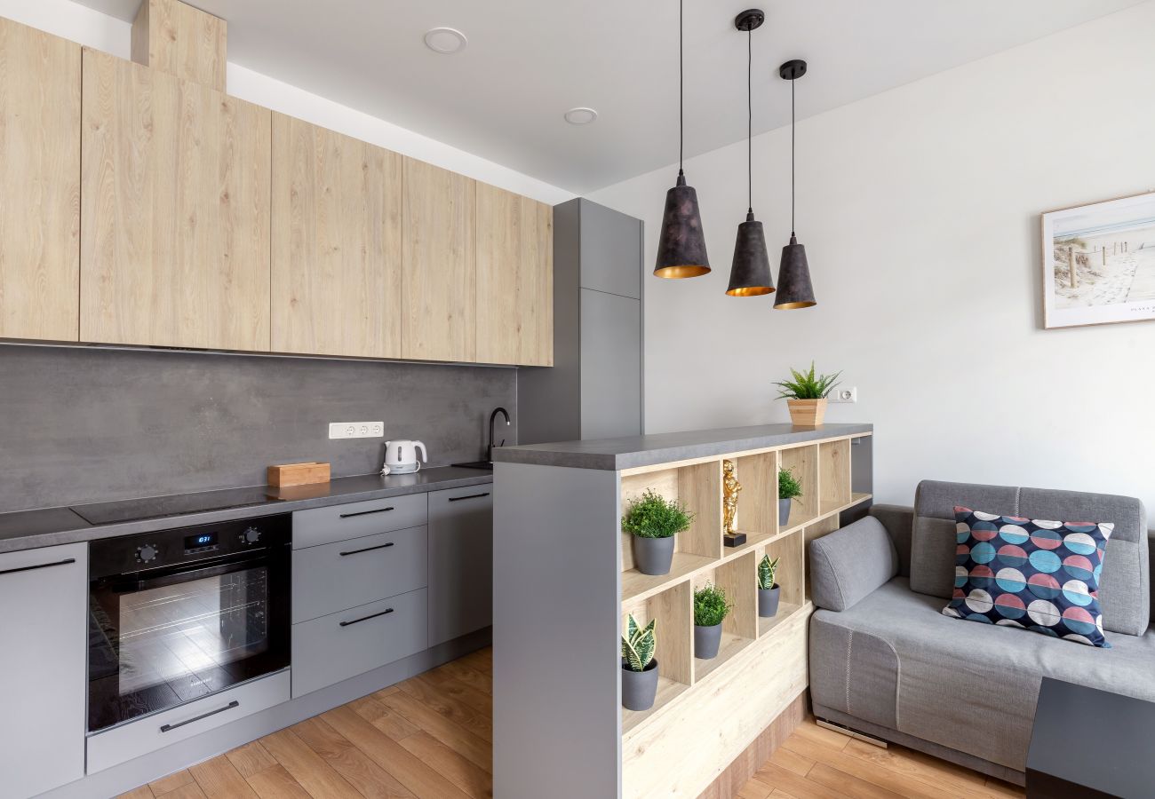 Leilighet i Vilnius - Cosy 1 Bedroom 2 Bathroom Yard Apartment
