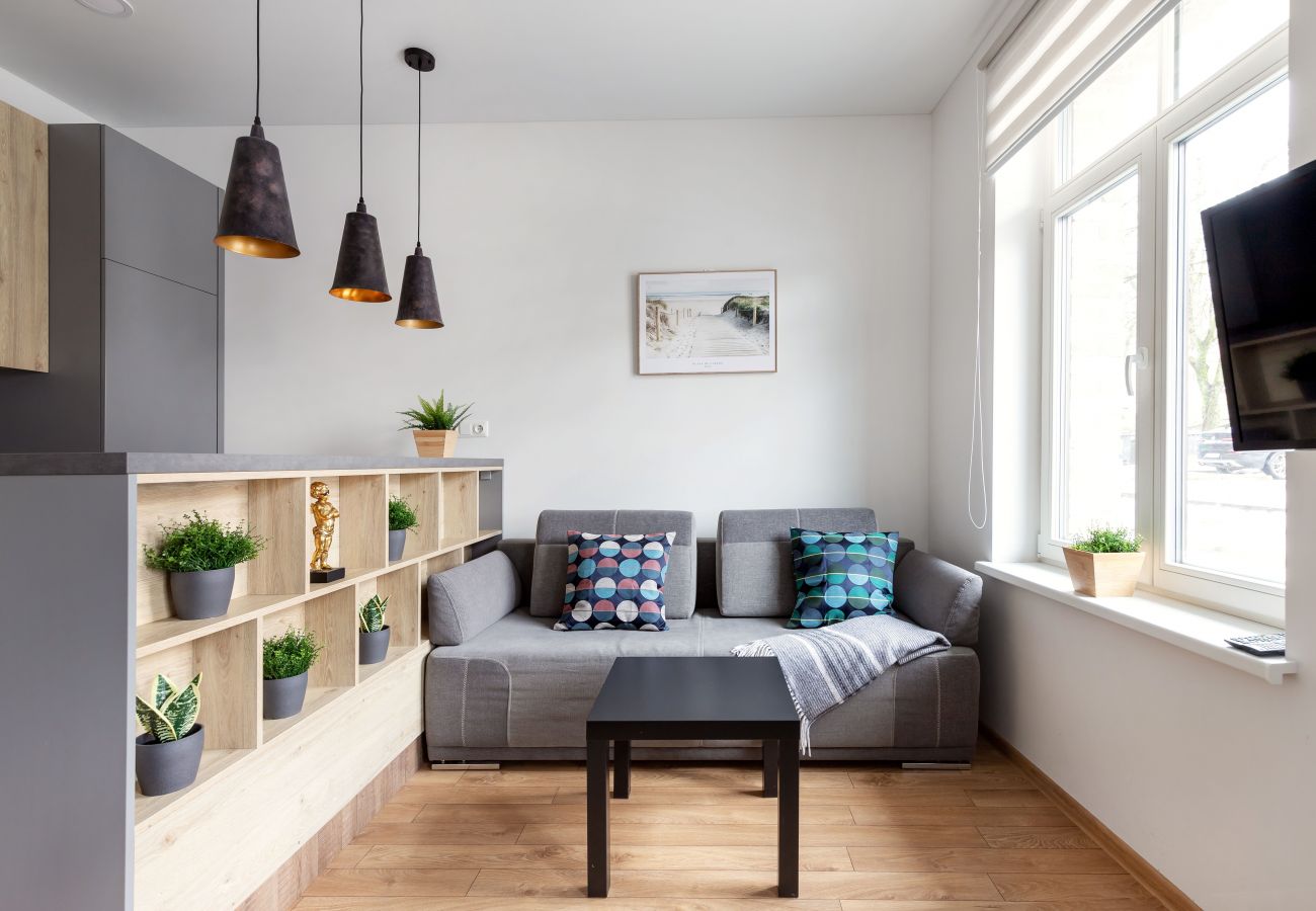 Leilighet i Vilnius - Cosy 1 Bedroom 2 Bathroom Yard Apartment