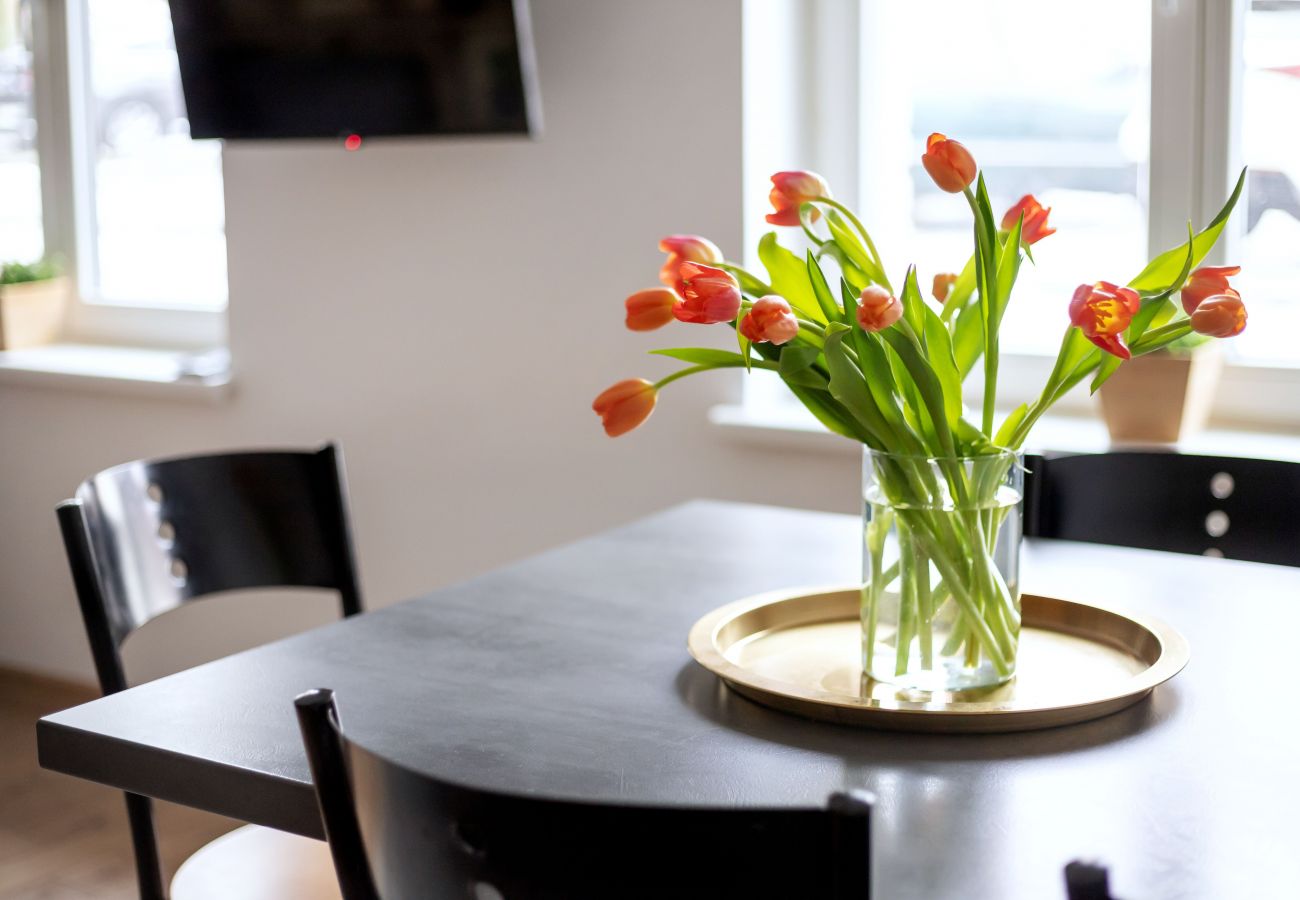 Leilighet i Vilnius - Cosy 1 Bedroom 2 Bathroom Yard Apartment