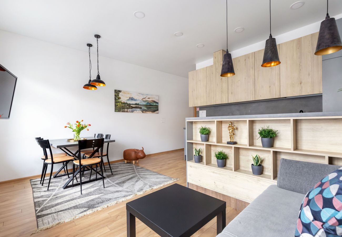 Leilighet i Vilnius - Cosy 1 Bedroom 2 Bathroom Yard Apartment