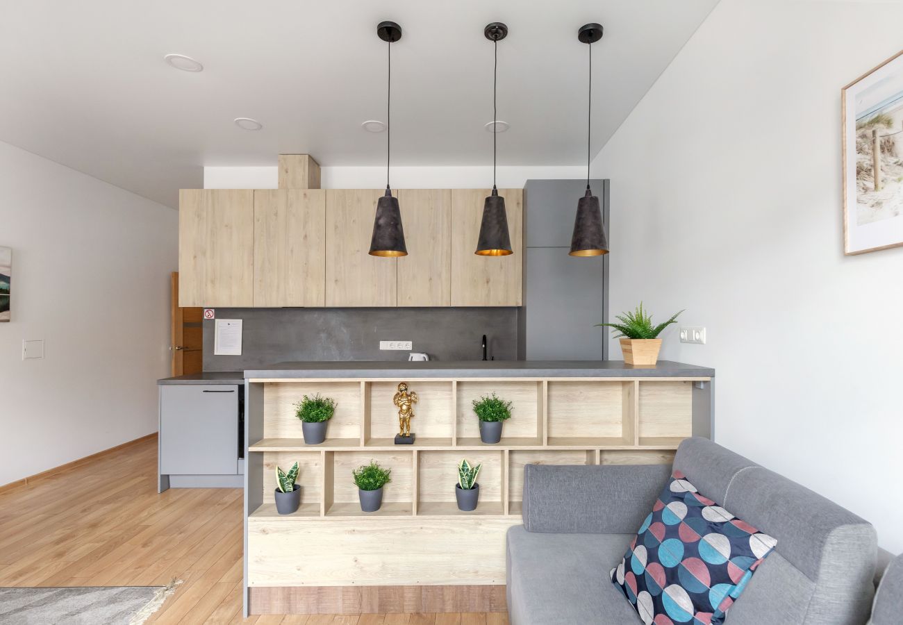 Leilighet i Vilnius - Cosy 1 Bedroom 2 Bathroom Yard Apartment