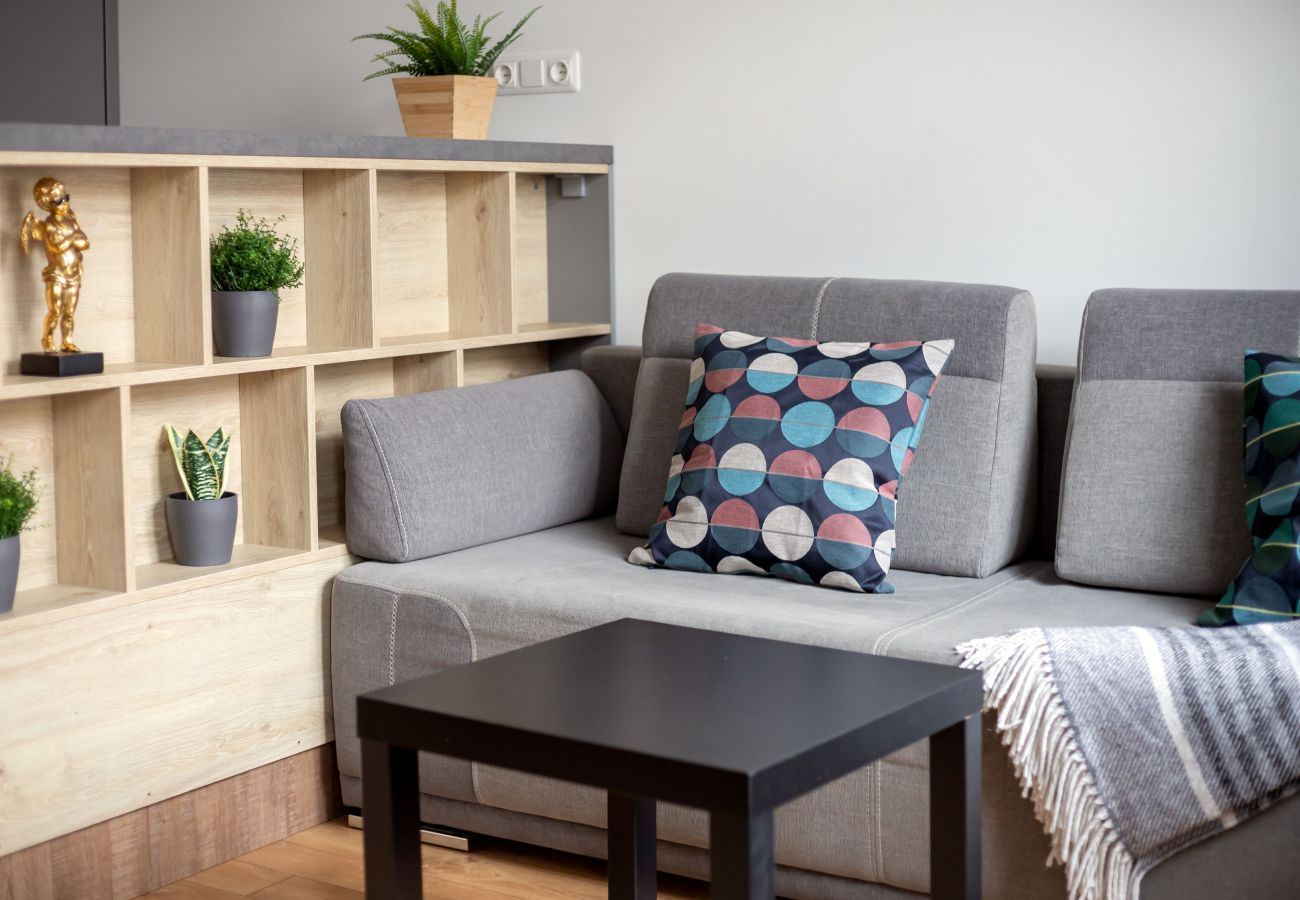 Leilighet i Vilnius - Cosy 1 Bedroom 2 Bathroom Yard Apartment