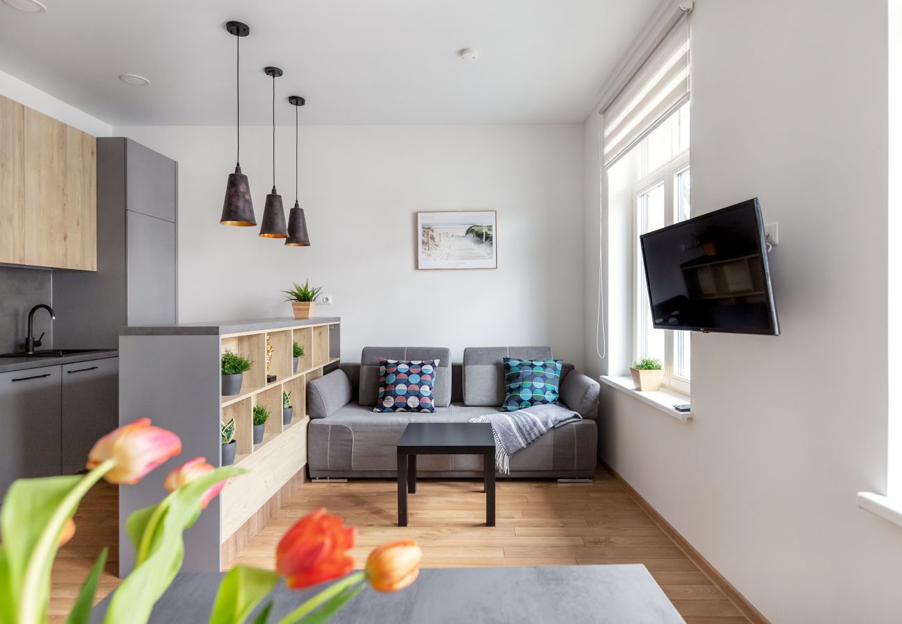 Leilighet i Vilnius - Cosy 1 Bedroom 2 Bathroom Yard Apartment