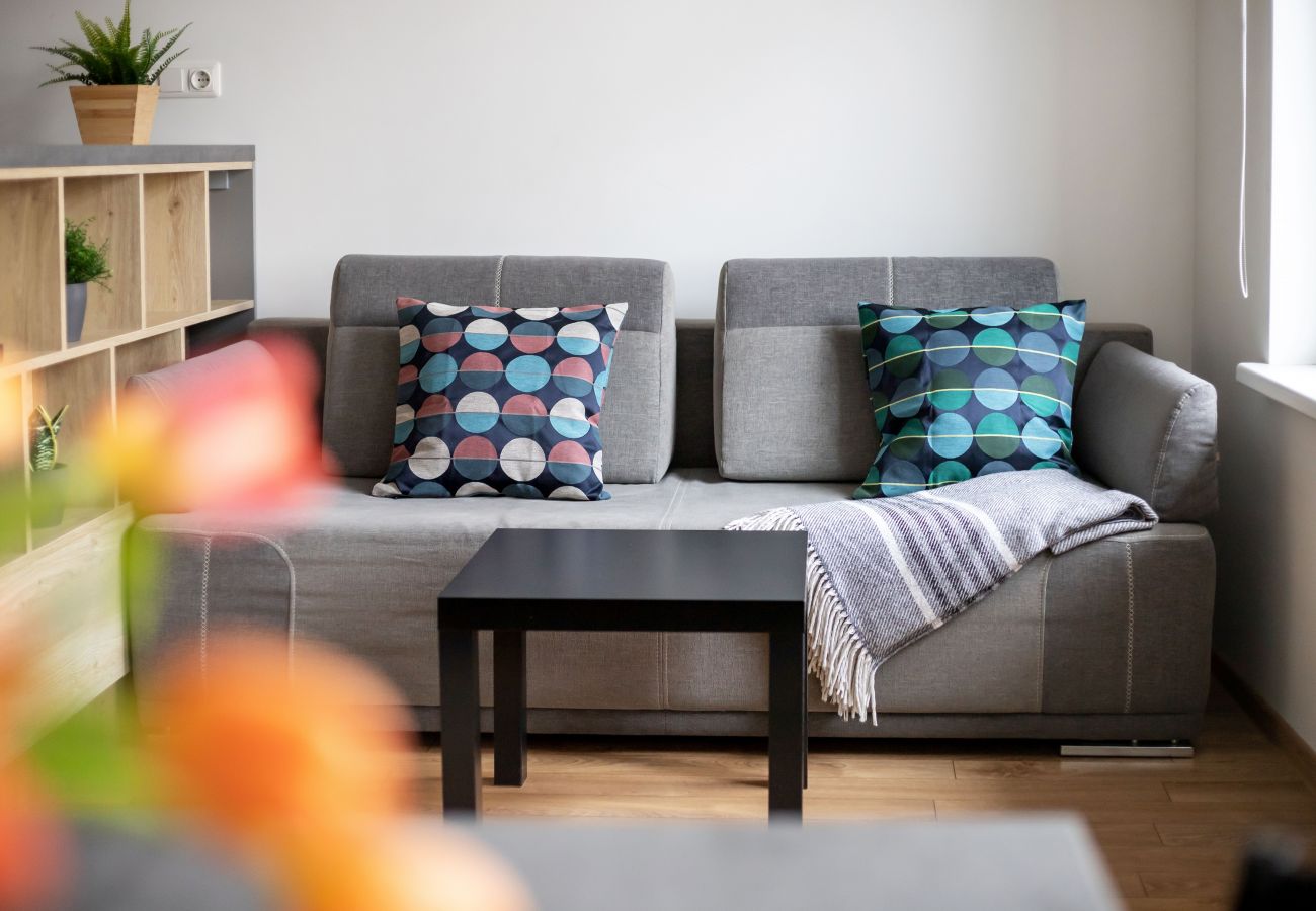 Leilighet i Vilnius - Cosy 1 Bedroom 2 Bathroom Yard Apartment