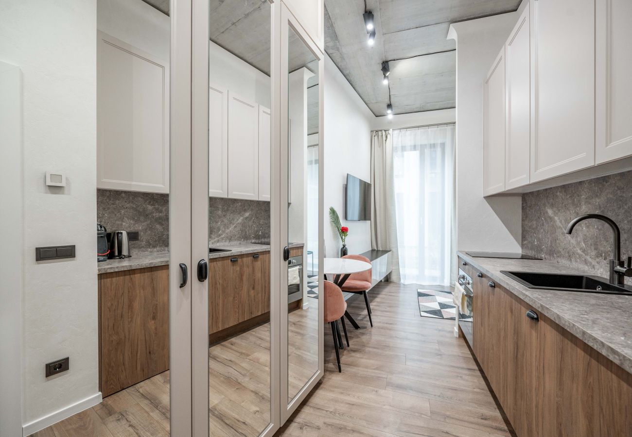 Studioleilighet i Vilnius - Renaissance Key Apartment 5