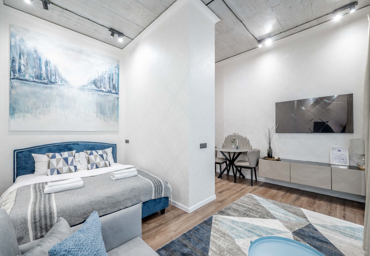Studioleilighet i Vilnius - Renaissance Key Apartment 6