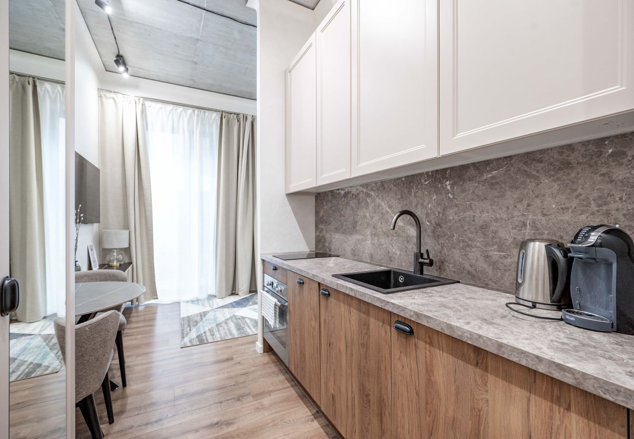 Studioleilighet i Vilnius - Renaissance Key Apartment 6