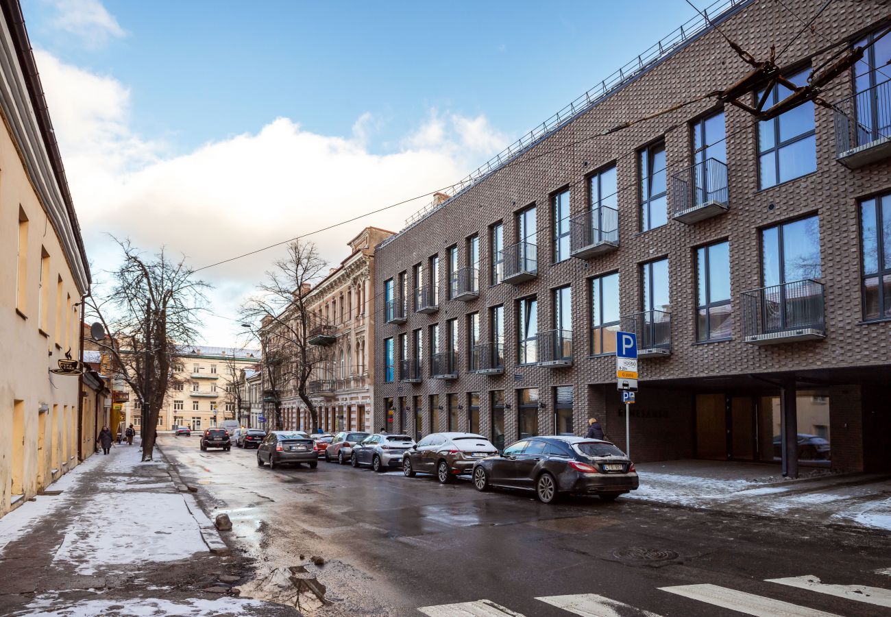 Studioleilighet i Vilnius - Renaissance Key Apartment 8