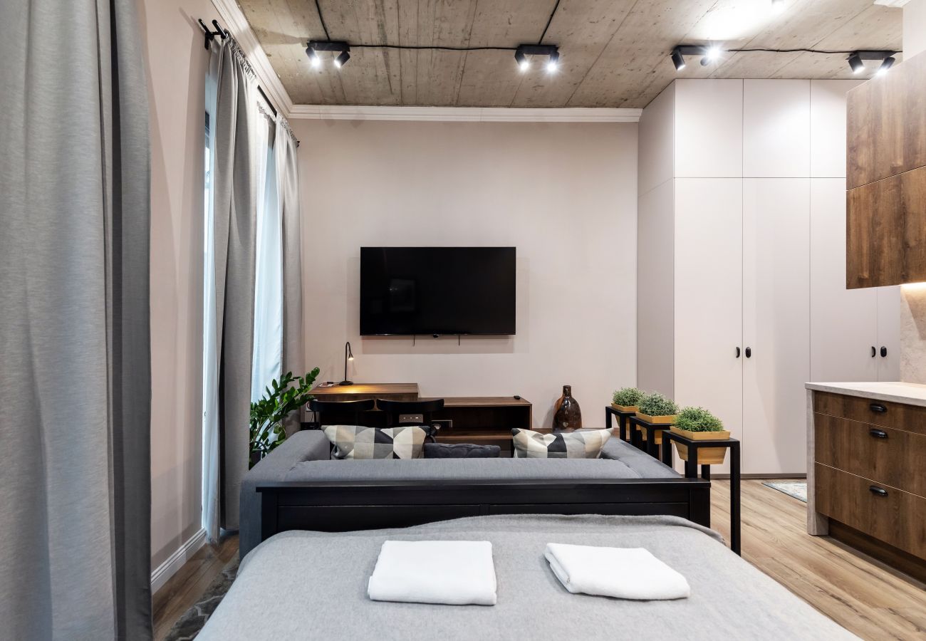 Studioleilighet i Vilnius - Renaissance Key Apartment 8