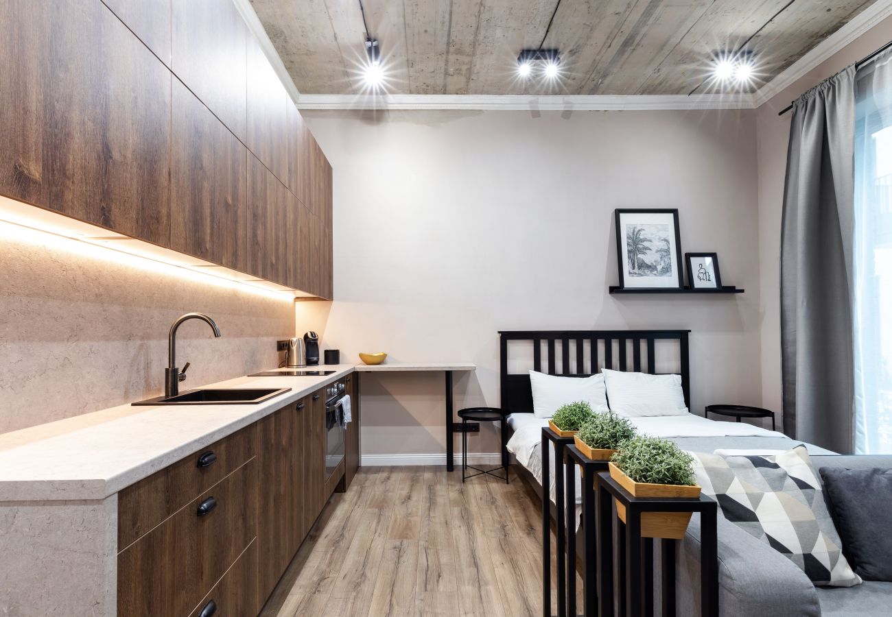 Studioleilighet i Vilnius - Renaissance Key Apartment 8