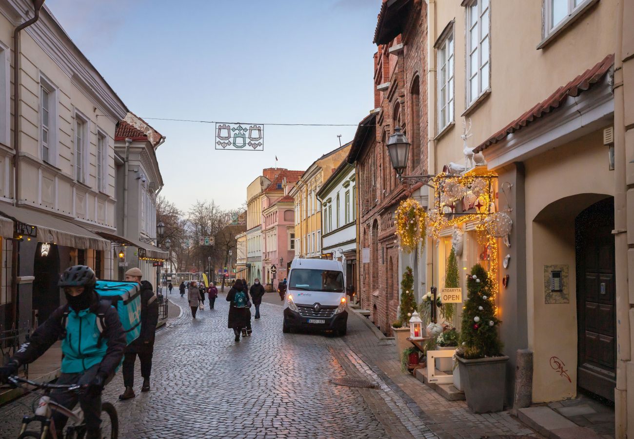 Leilighet i Vilnius - Pilies Street Exclusive Apartment