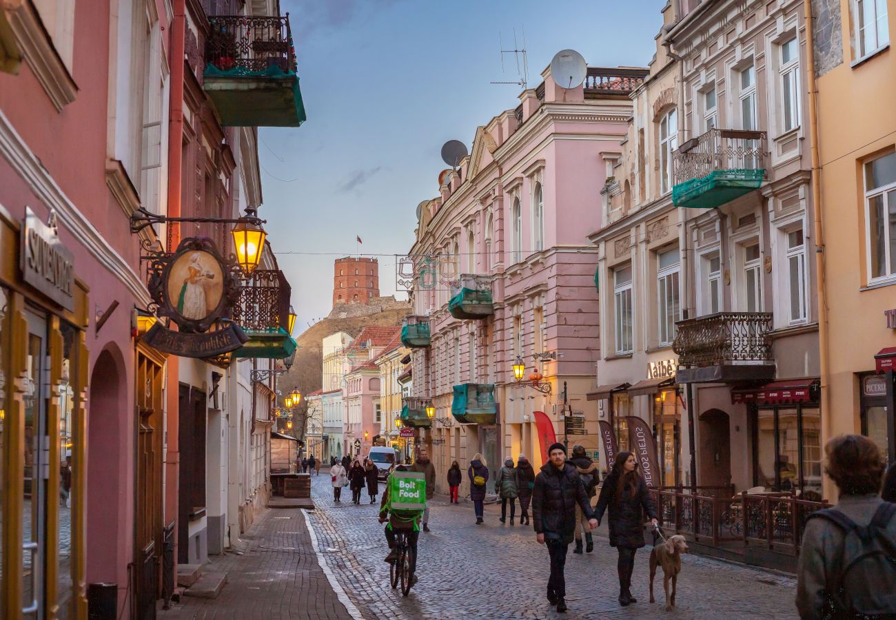 Leilighet i Vilnius - Pilies Street Exclusive Apartment