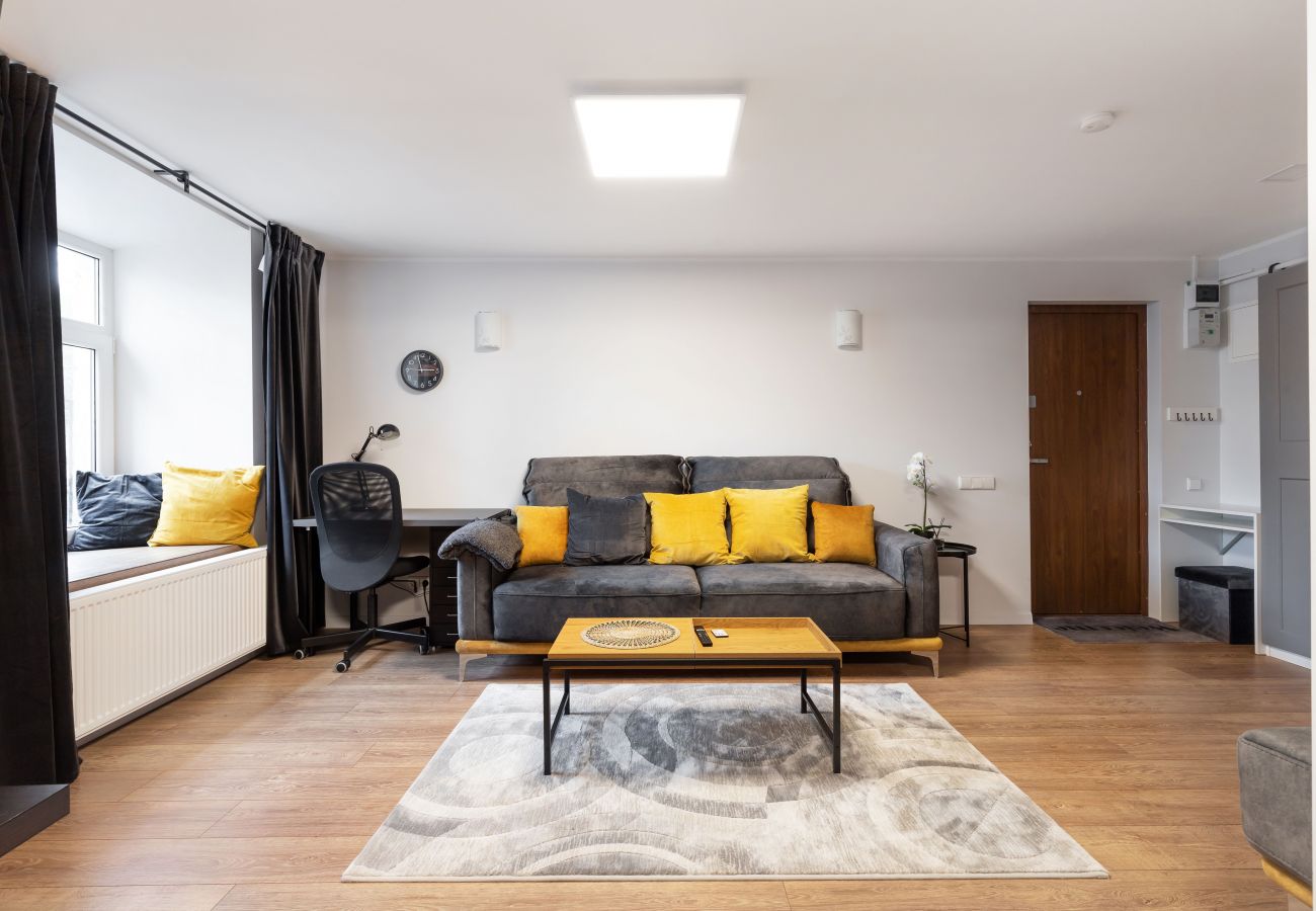 Leilighet i Vilnius - Newly Refurbished Lukiskiu Square Apartment