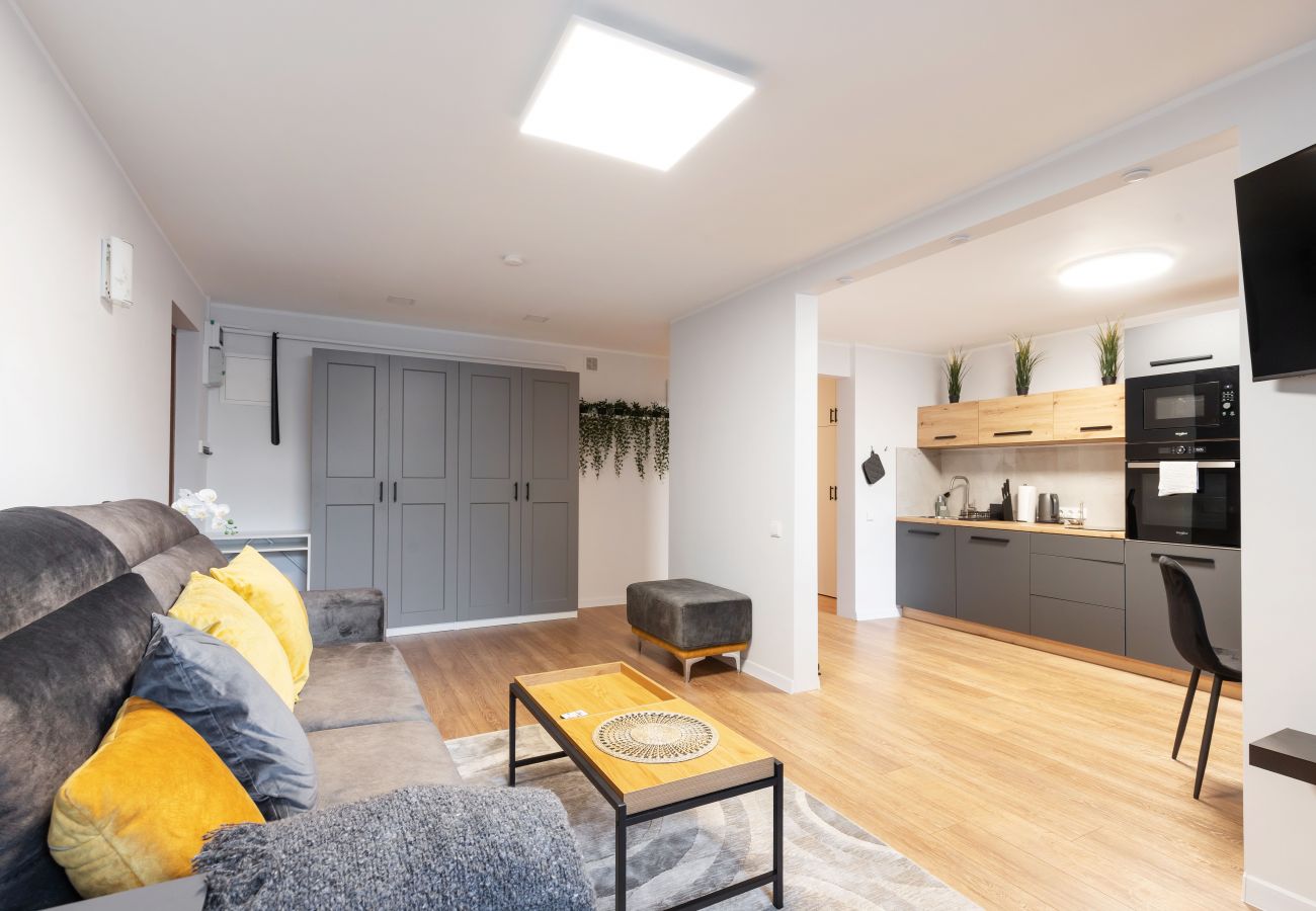 Leilighet i Vilnius - Newly Refurbished Lukiskiu Square Apartment