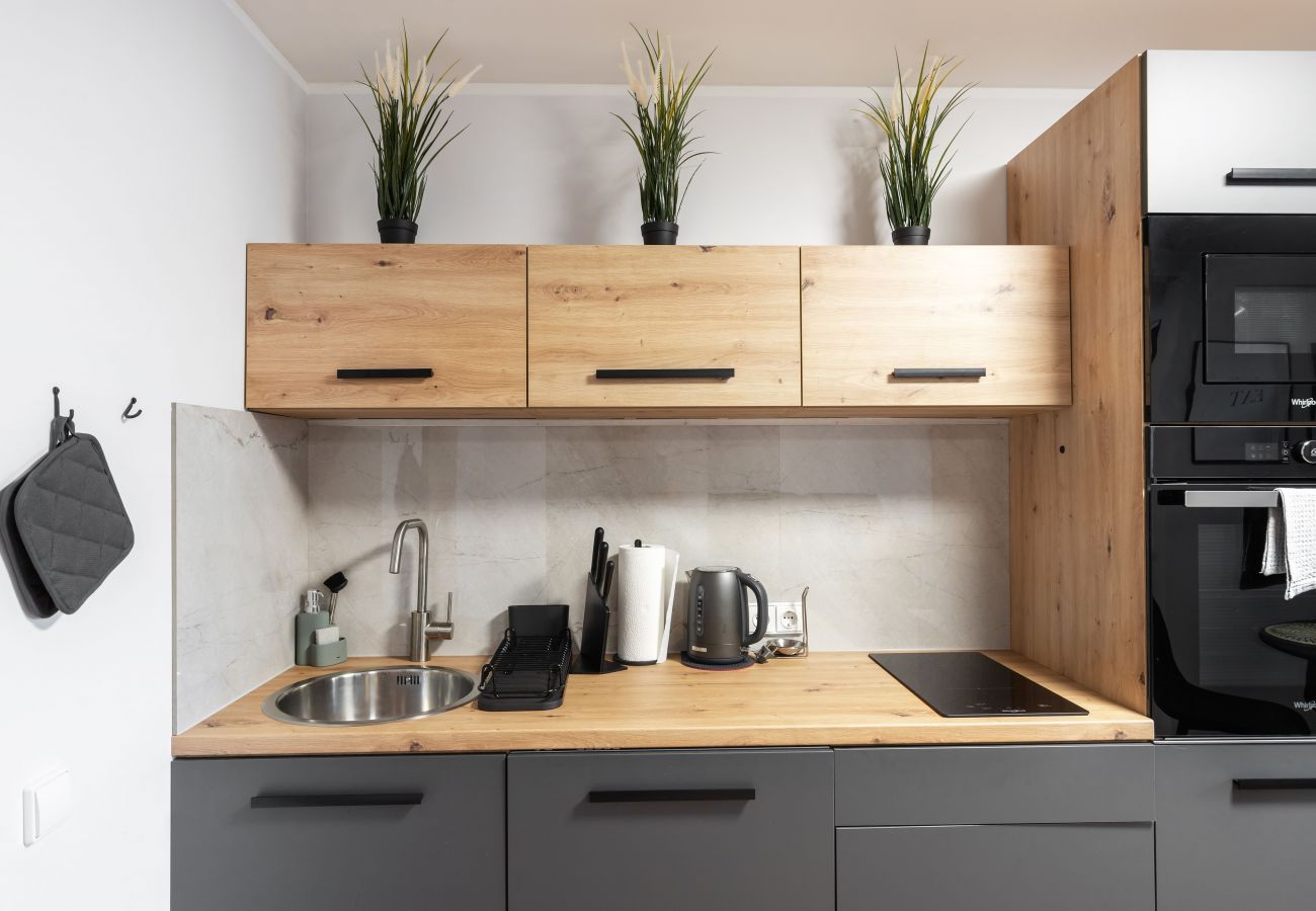 Leilighet i Vilnius - Newly Refurbished Lukiskiu Square Apartment