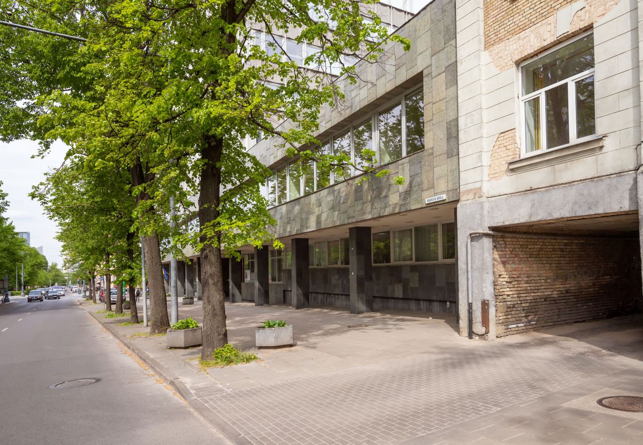 Leilighet i Vilnius - Newly Refurbished Lukiskiu Square Apartment