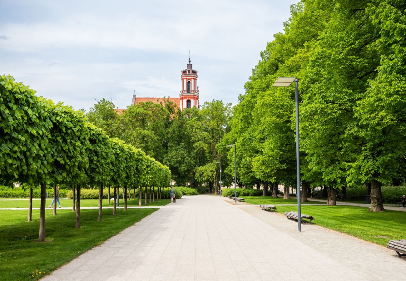 Leilighet i Vilnius - Newly Refurbished Lukiskiu Square Apartment